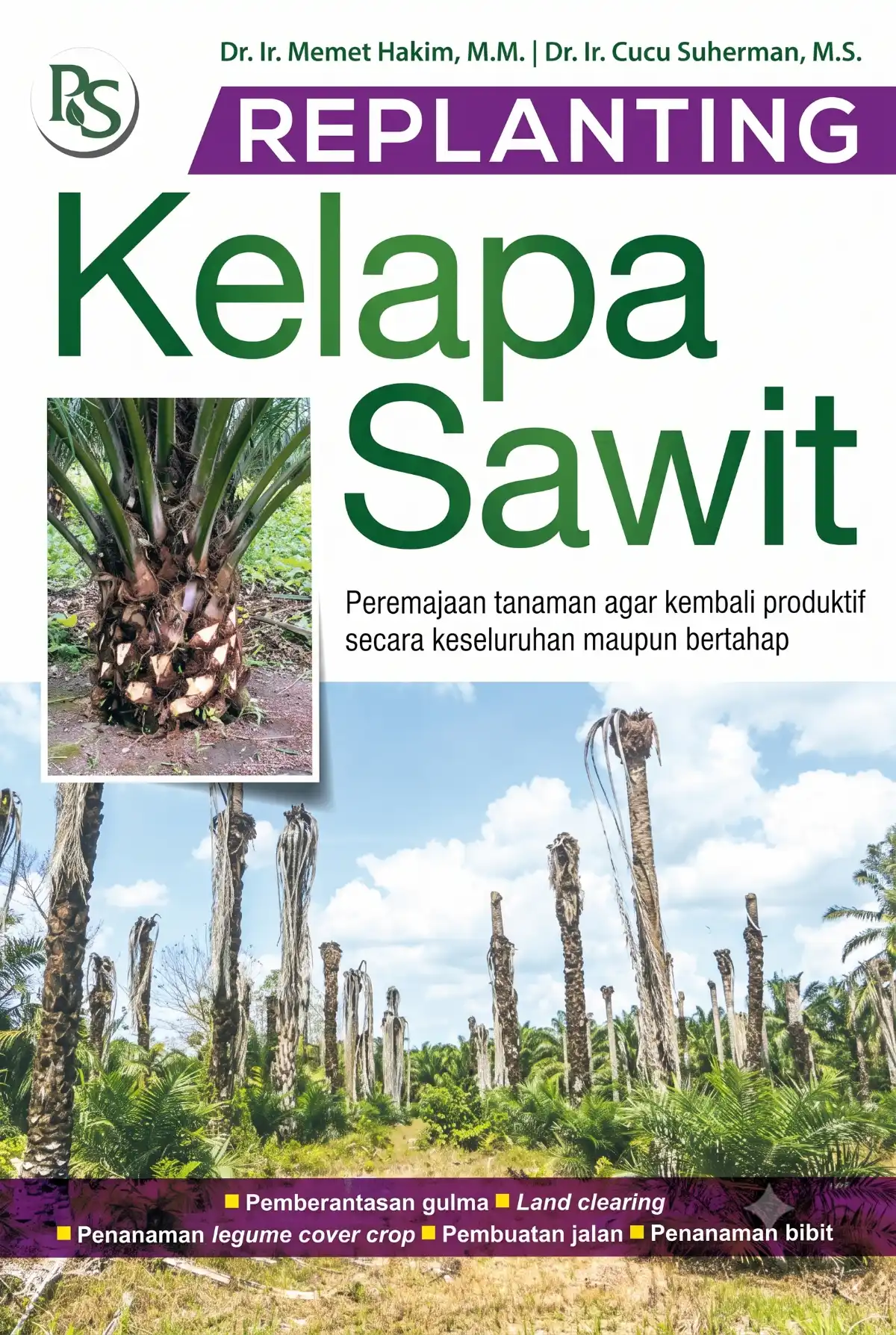Replanting Kelapa Sawit