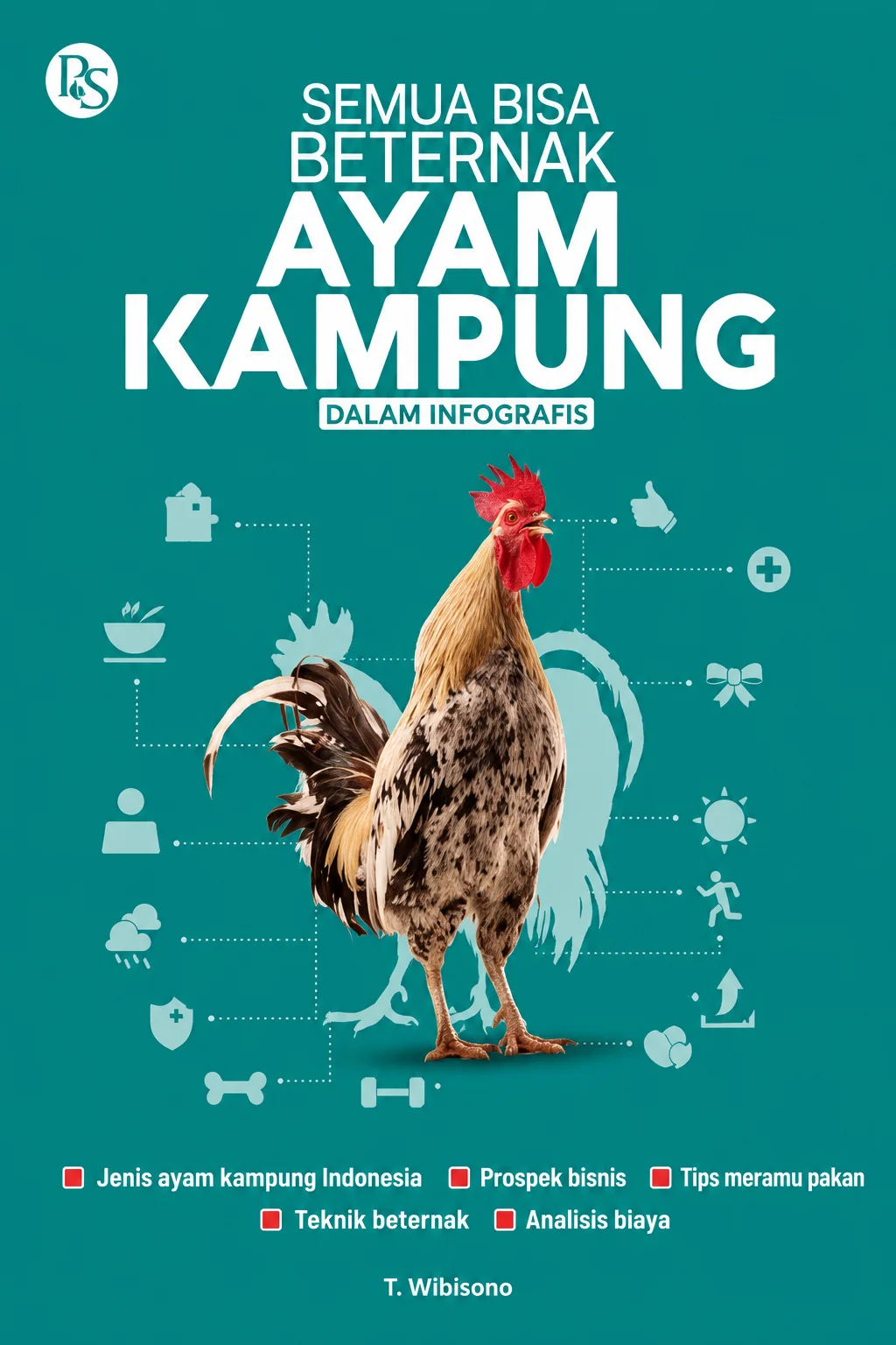 Semua Busa Bertenak AYAM KAMPUNG