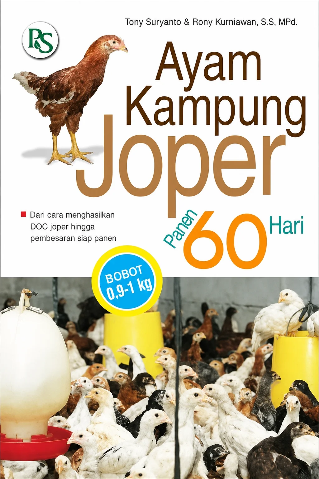 Ayam Kampung Joper Panen 60 Hari