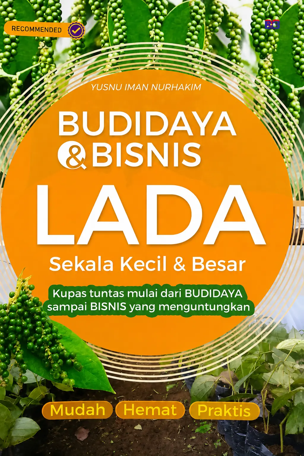 Budidaya & Bisnis Lada Sekala Kecil & Besar