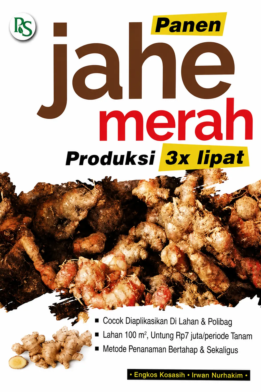 Panen Jahe Merah Produksi 3X Lipat