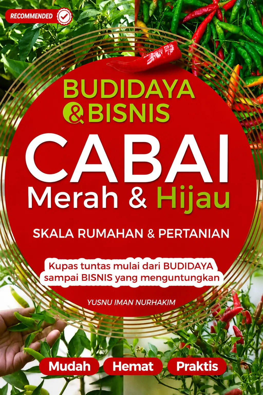 Budidaya & Bisnis Cabai Merah & Hijau Skala Rumahan & Pertanian