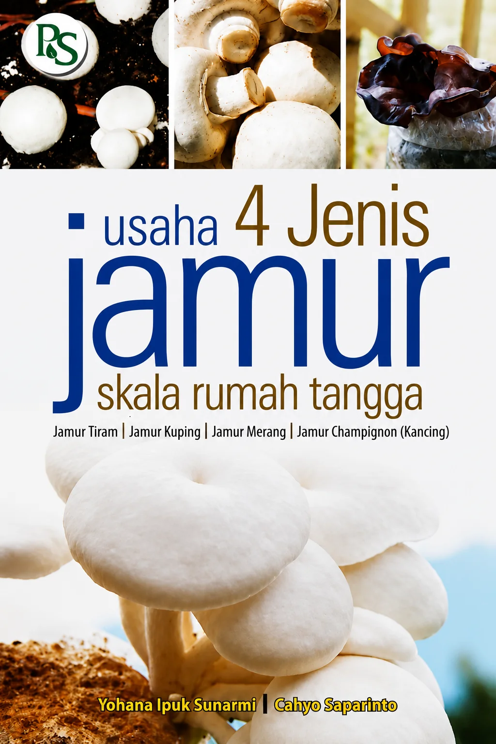 Usaha 4 Jenis Jamur Skala Rumah Tangga