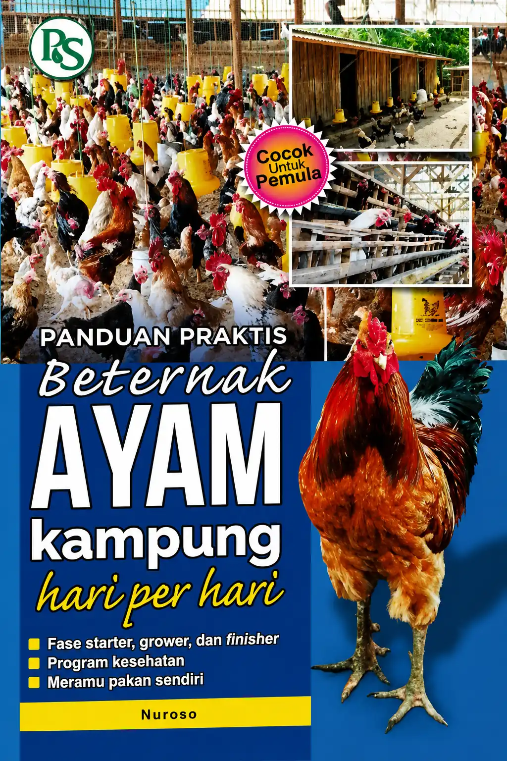 Panduan Praktis Beternak Ayam Kampung hari per hari
