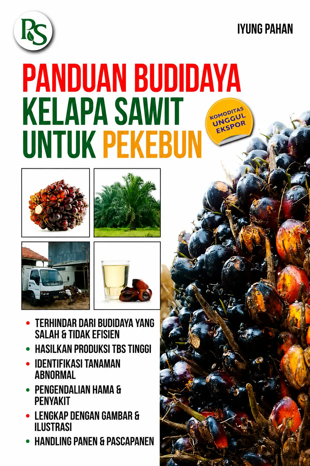 Panduan Budidaya Kelapa Sawit Untuk Pekebun