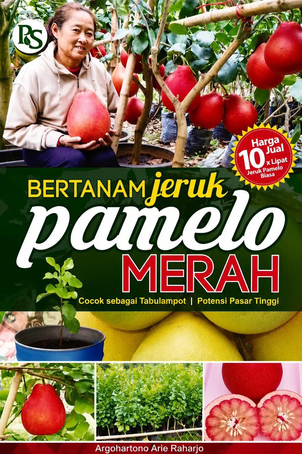 Bertanam Jeruk Pamelo Merah Cocok sebagai Tabulampot Potensi npasar Tinggi