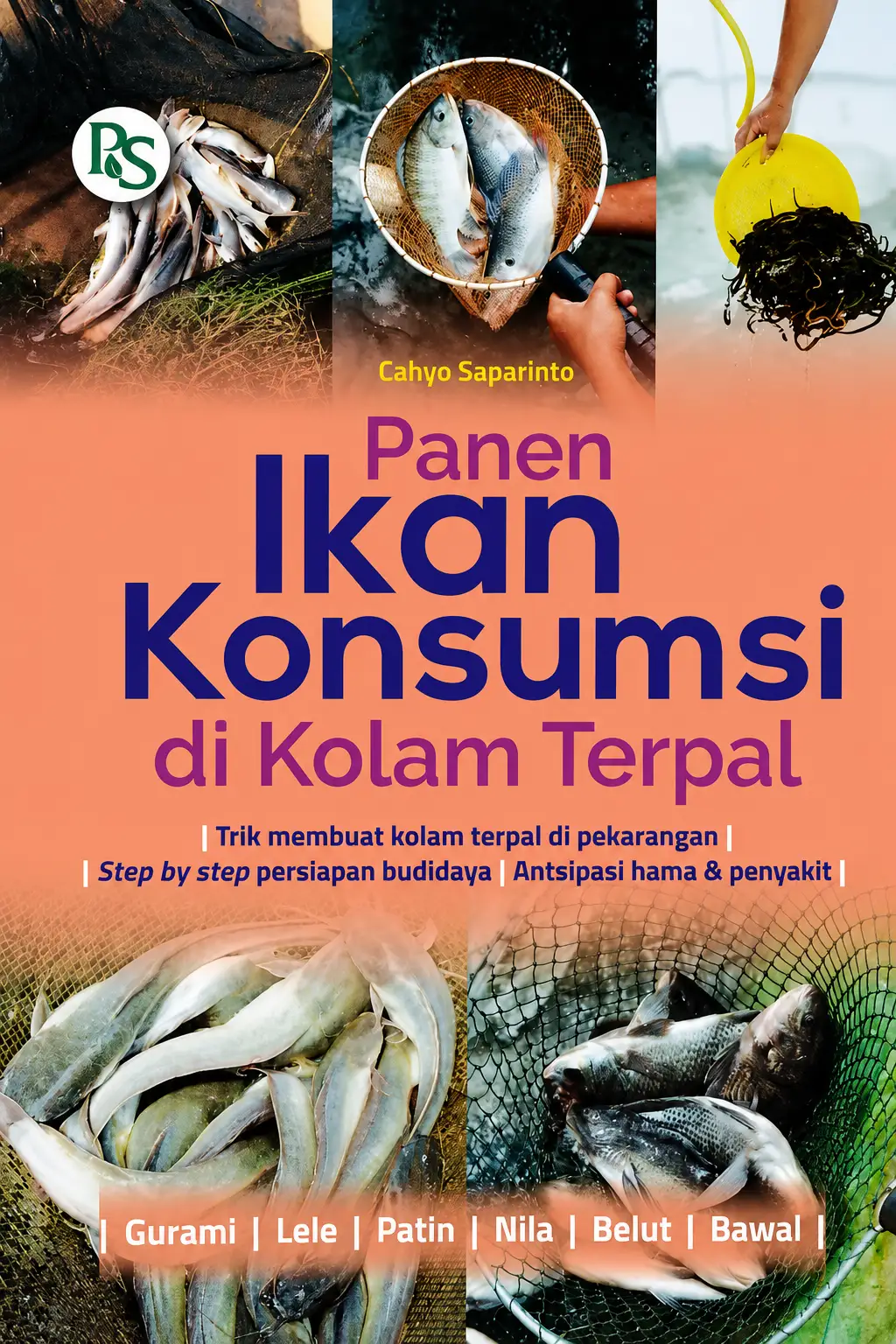Panen Ikan Konsumsi di Kolam Terpal