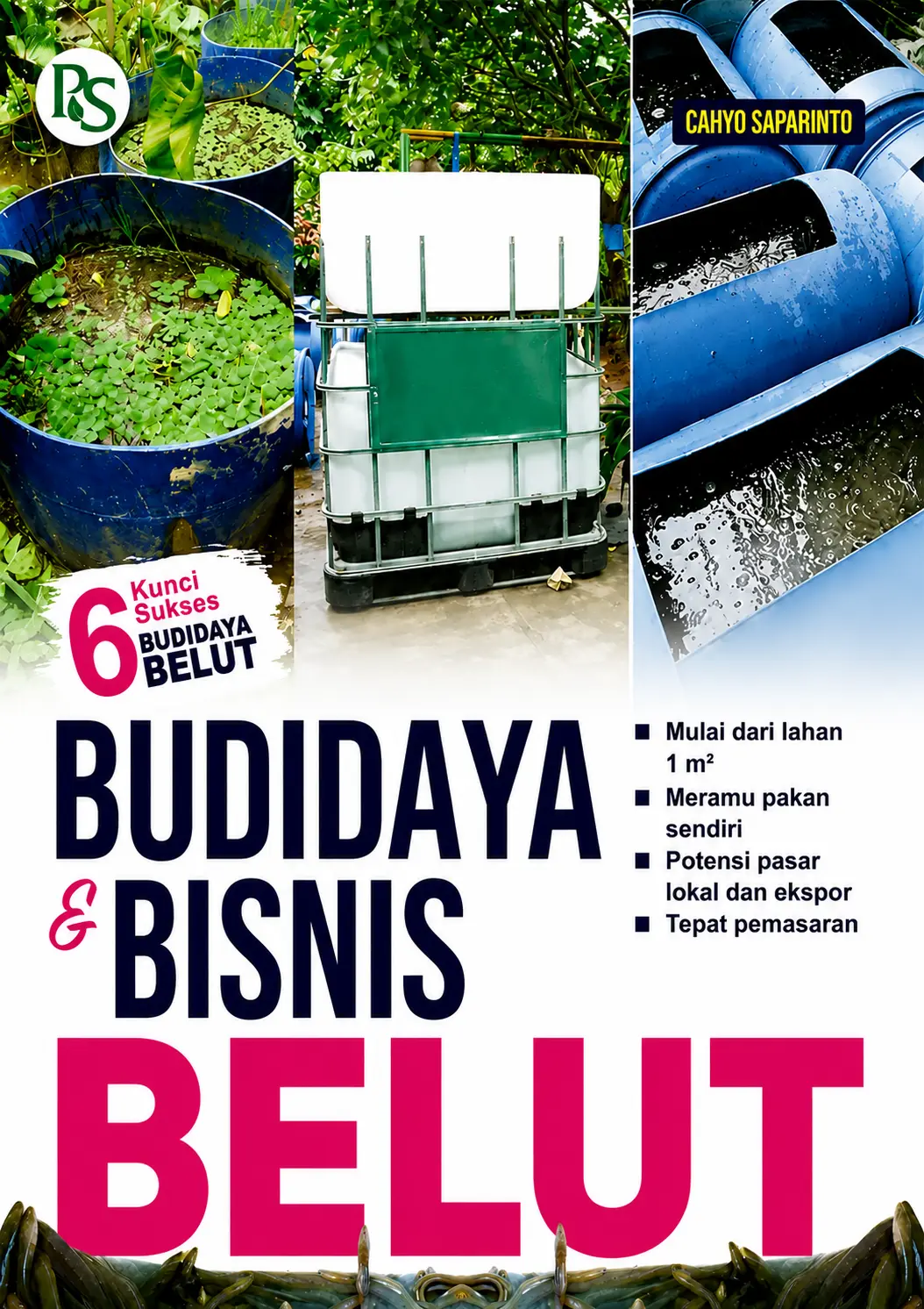 6 Kunci Sukses Budidaya & Bisnis Belut