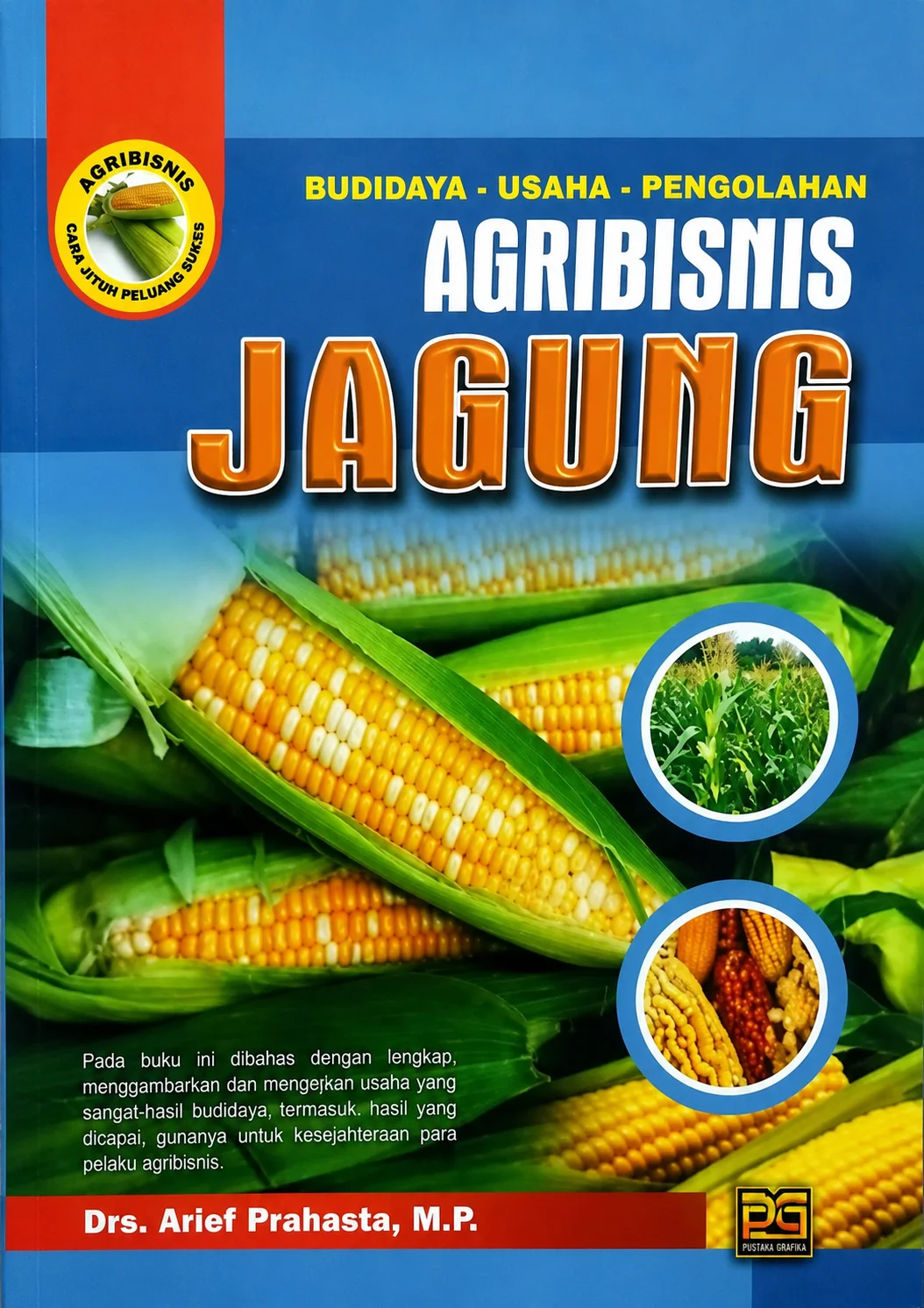 Budidaya Usaha Pengolahan Agribisnis Jagung