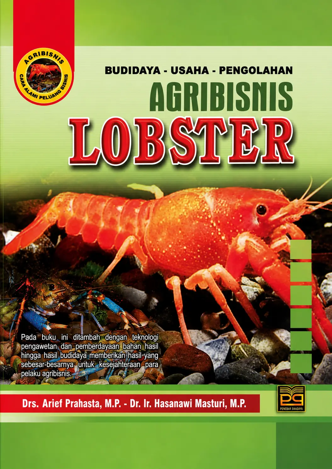 Budidaya Usaha Pengolahan Agribisnis Lobster