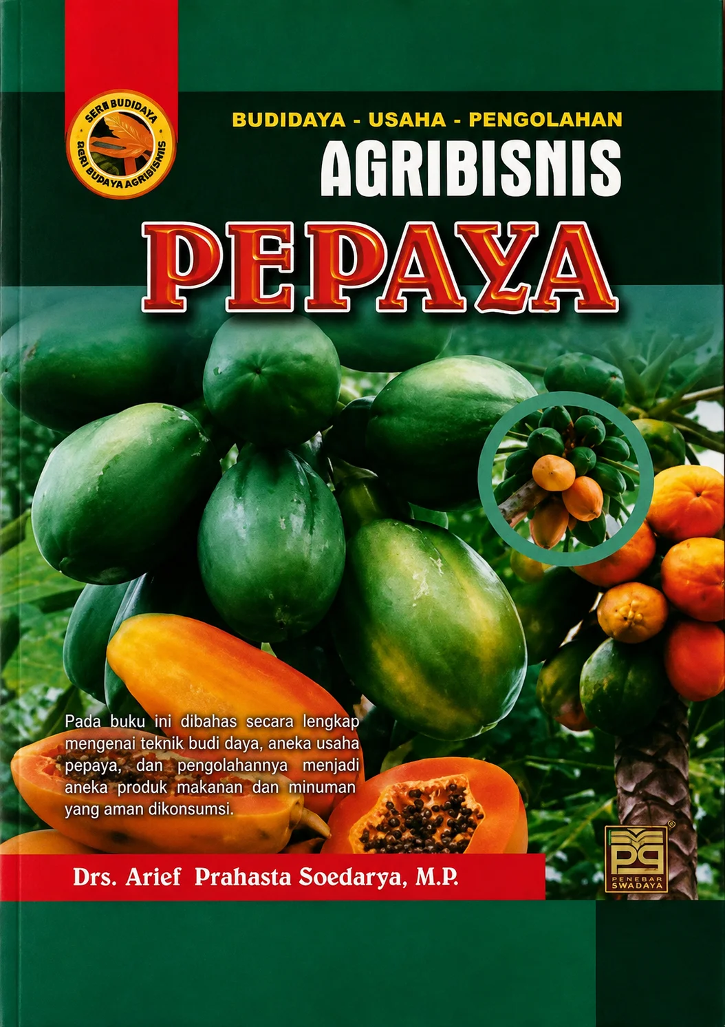Budidaya, Usaha, Pengolahan Agribisnis Pepaya
