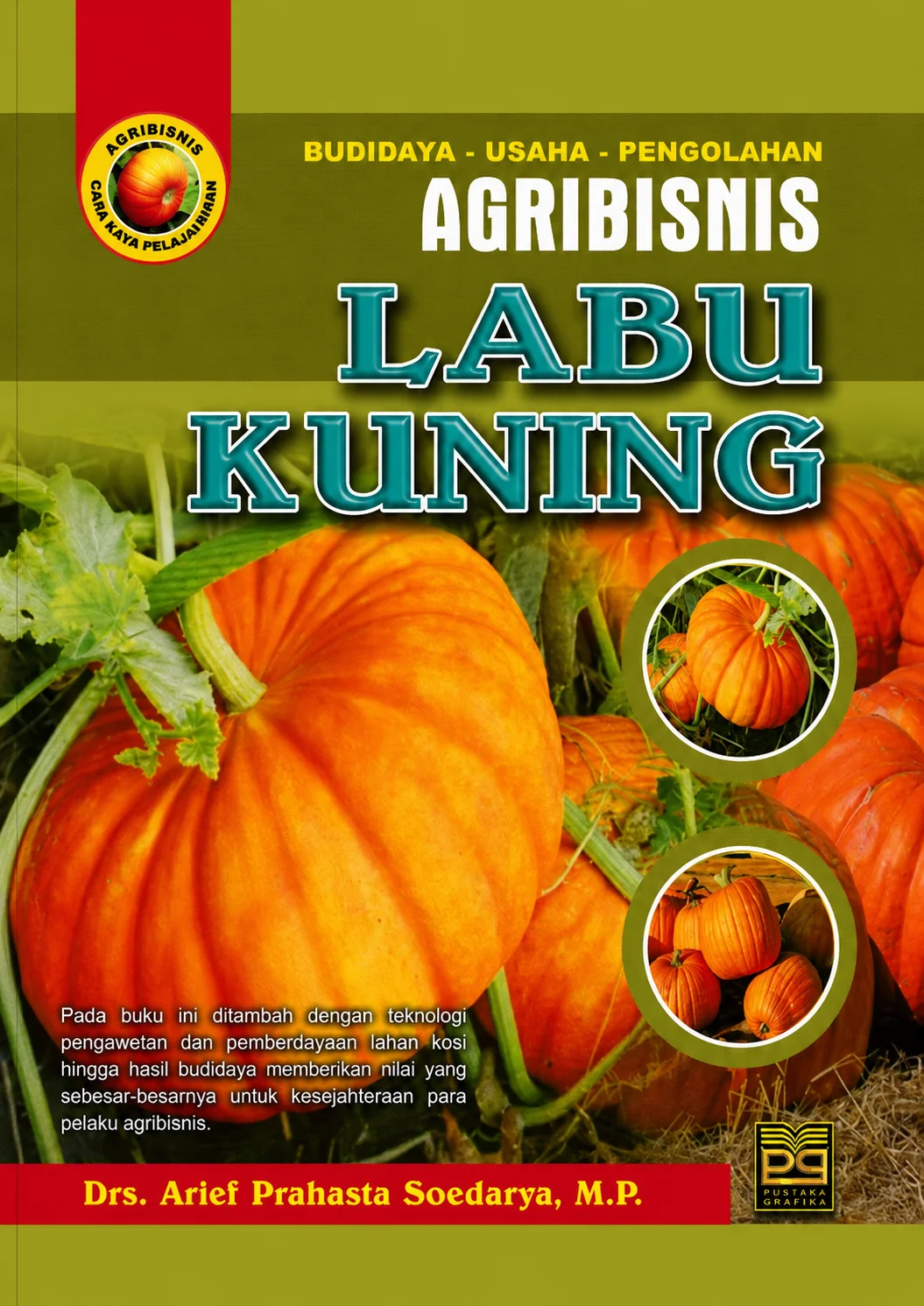 Budidaya, Usaha, Pengolahan Agribisnis Labu Kuning