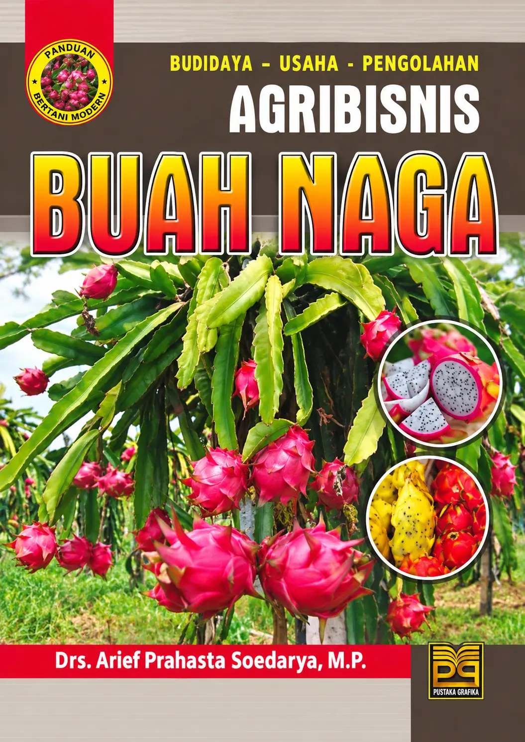 Budidaya, Usaha, Pengolahan Agribisnis Buah Naga