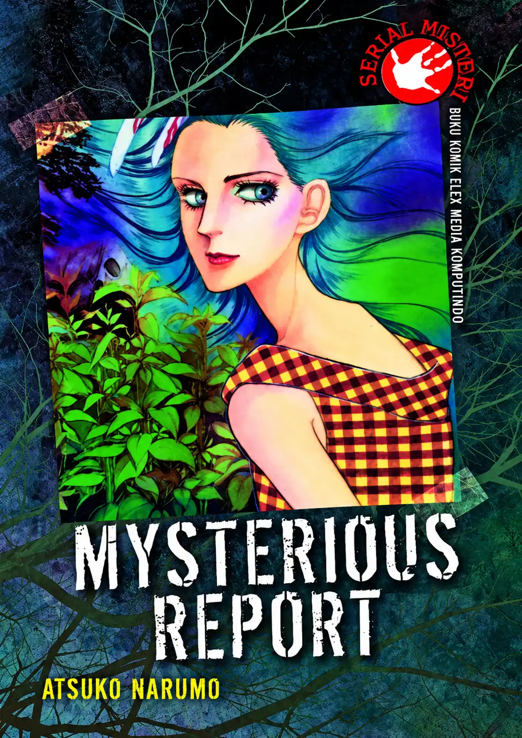 SM | Mysterious Report