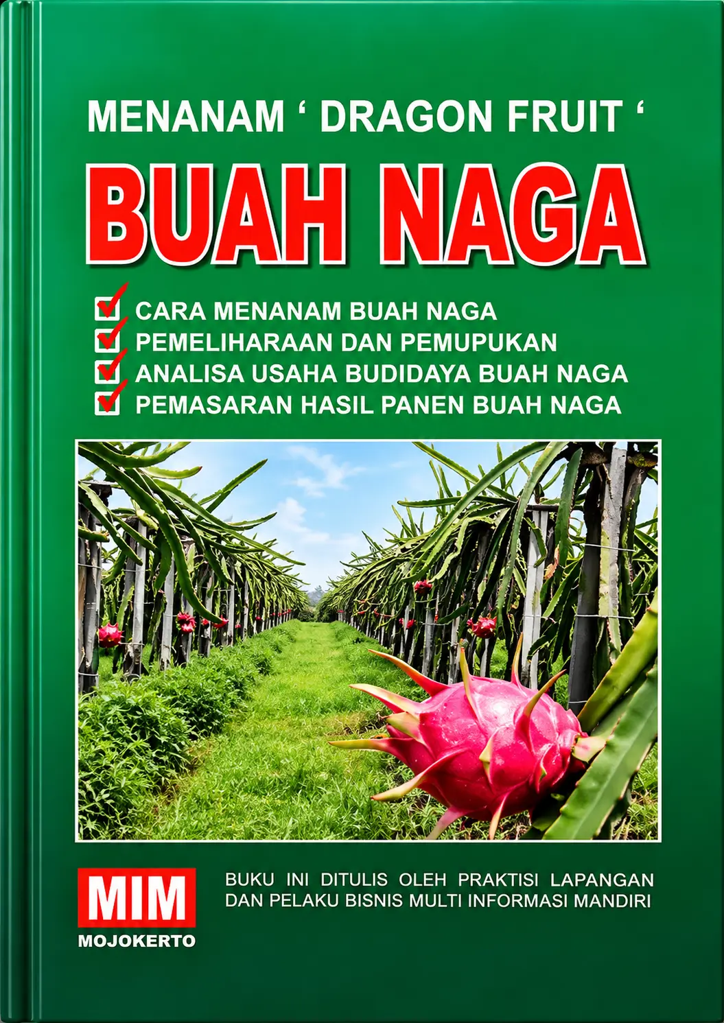 Buah Naga | Menanam Dragon Fruit