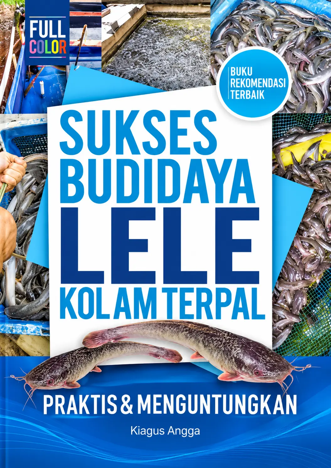 Sukses Budidaya Lele Kolam Terpal | Praktis & Menguntungkan