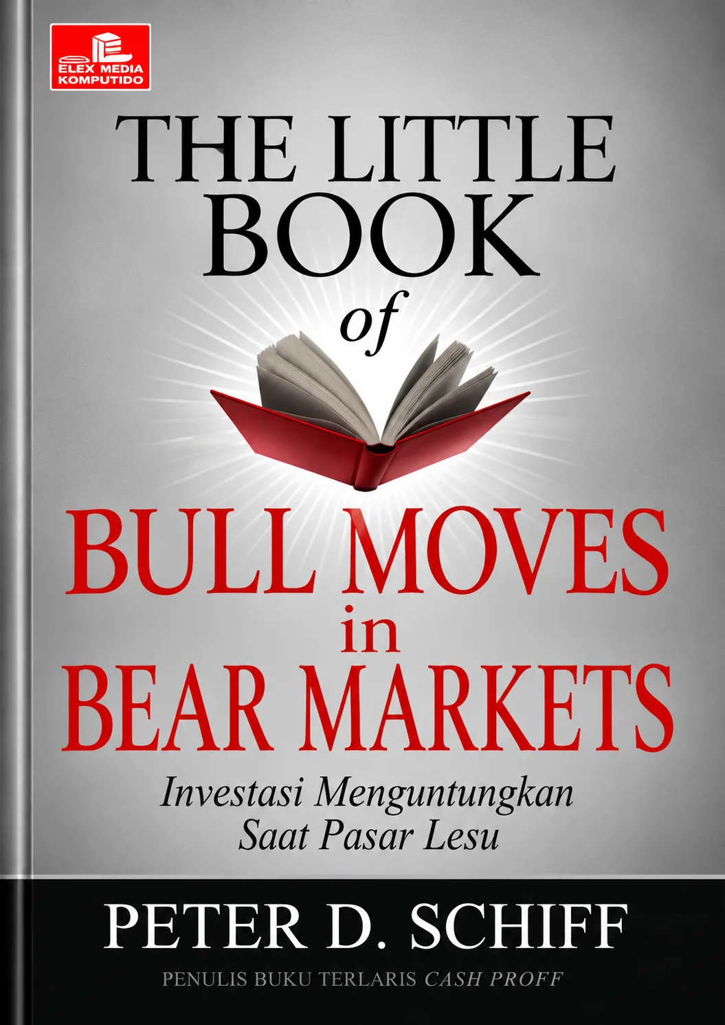 The Little Book of Bull Moves in Bear Markets | Investasi Menguntungkan Saat Pasar Lesu