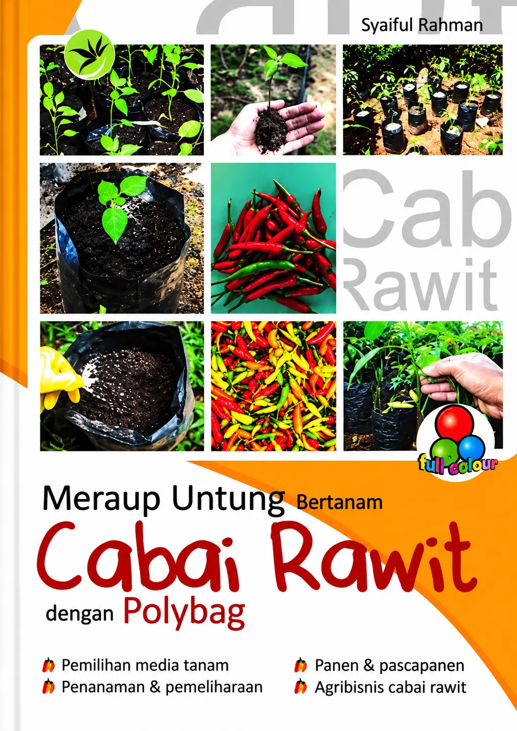Meraup Untung Bertanam Cabai Rawit dengan Polybag