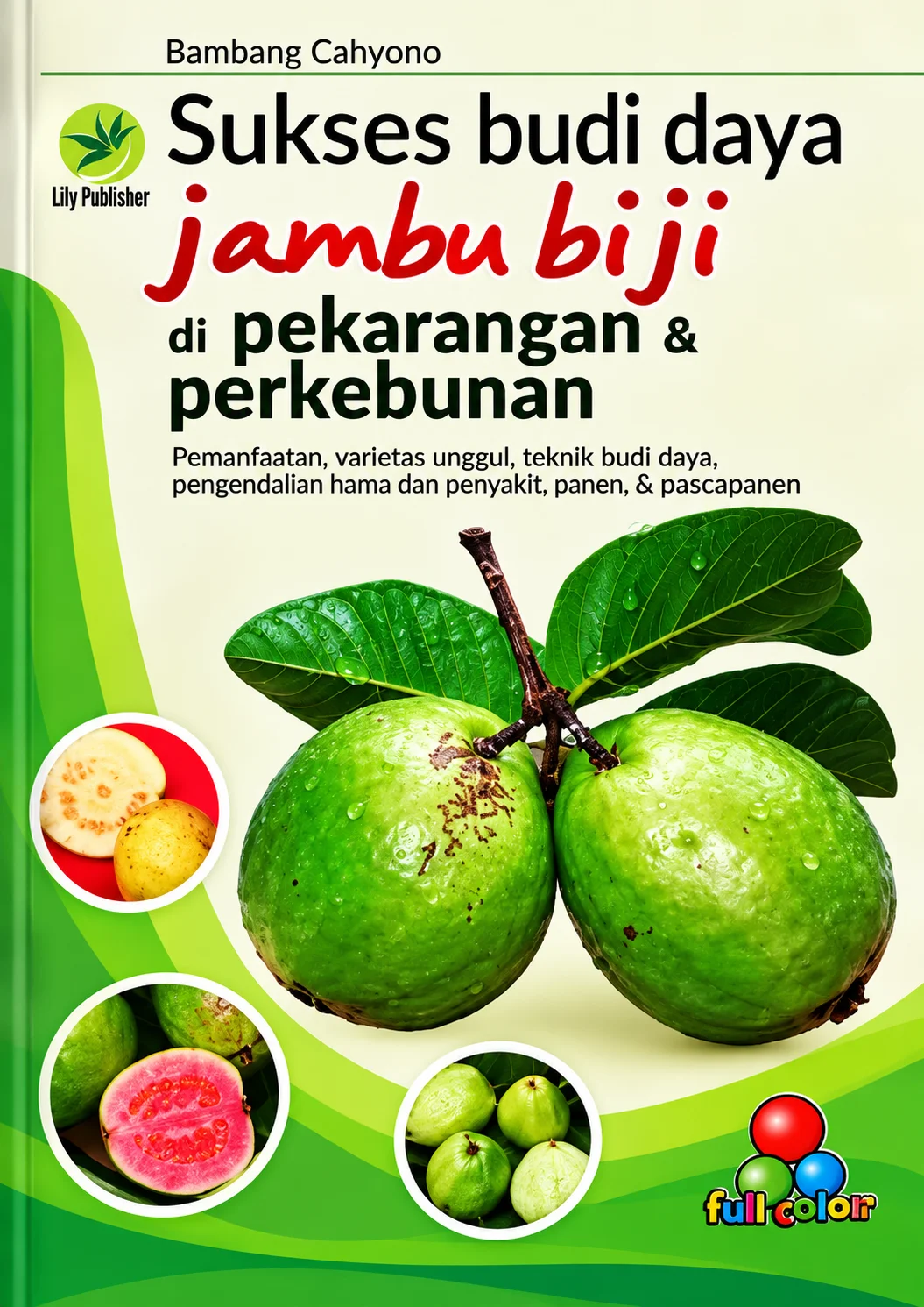 Sukses Budi Daya Jambu Biji di Pekarangan dan Perkebunan