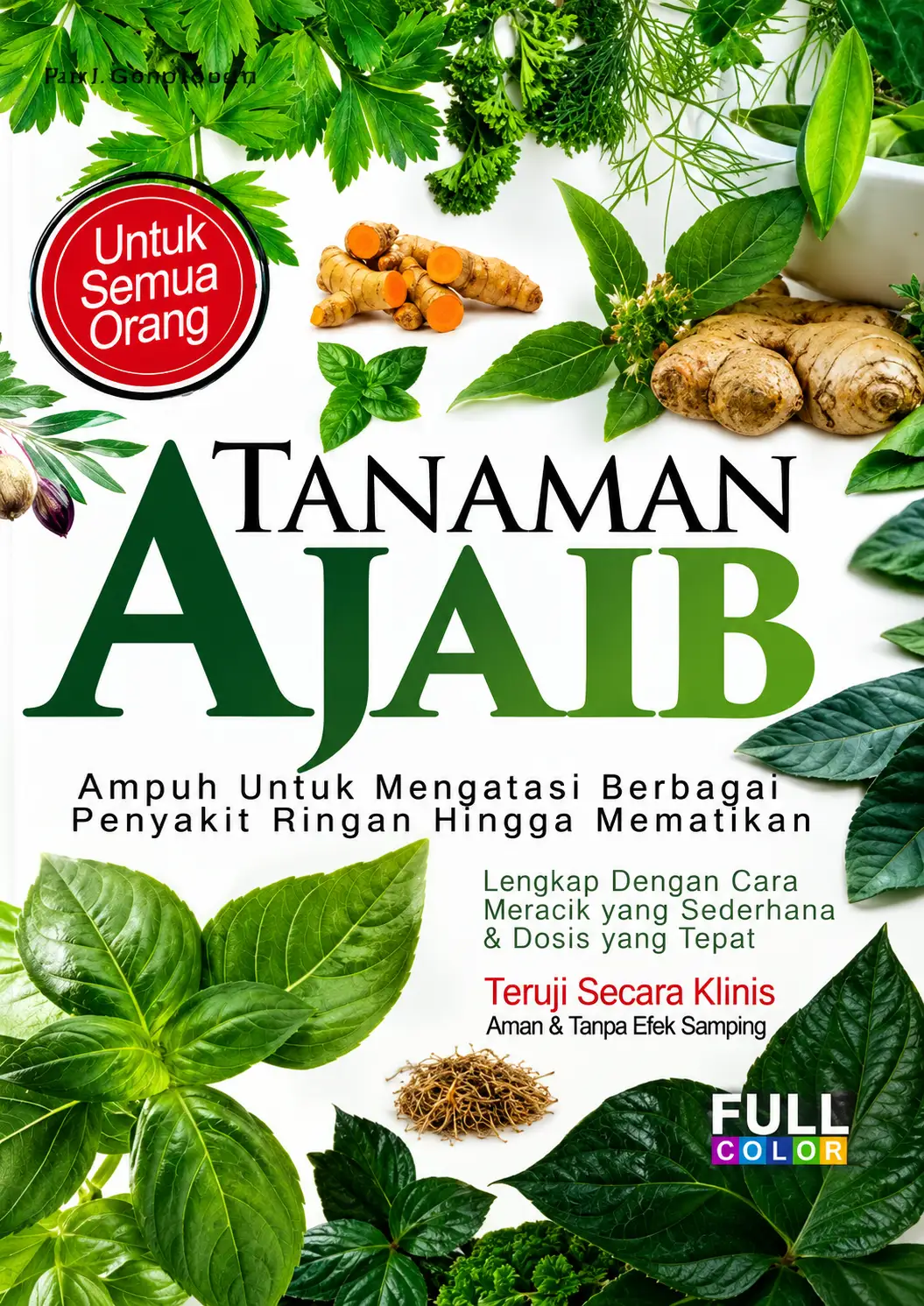 Tanaman Ajaib | Ampuh Untuk Mengatasi Berbagai Penyakit